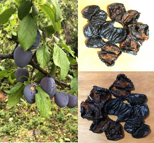 Dried black plums